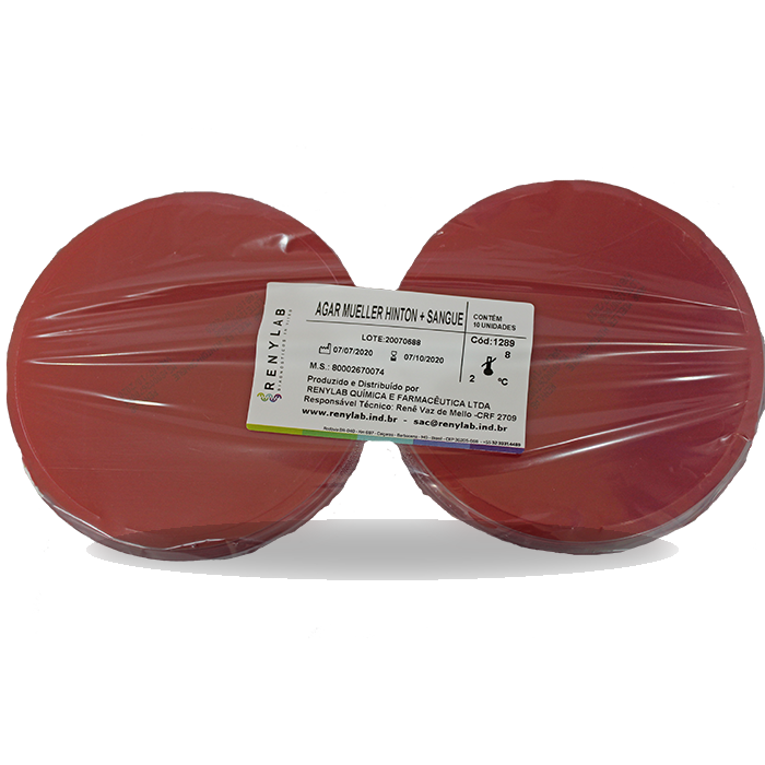 Mueller Hinton + Blood Agar